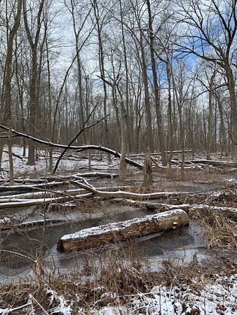 Mary Beth Doyle Park